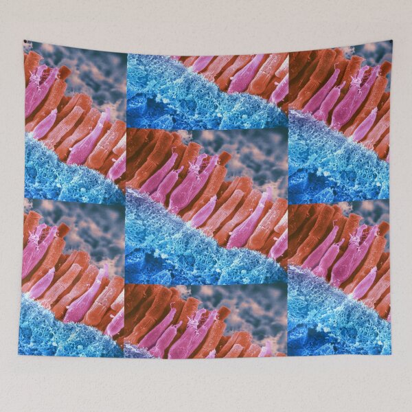 Item preview, Microscope Photo of the Rods and Cones of the Human Eye, SEM designed and sold by ScienceSource.