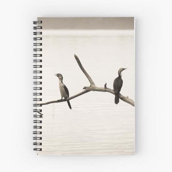 Item preview, Cormorants - Talking to Themselves designed and sold by pcbermagui.