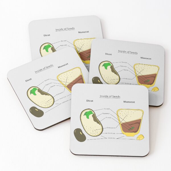Item preview, Seed Diagram designed and sold by Punchy Academic.