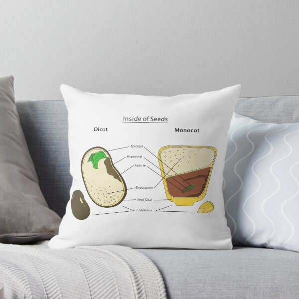 Item preview, Seed Diagram designed and sold by Punchy Academic.