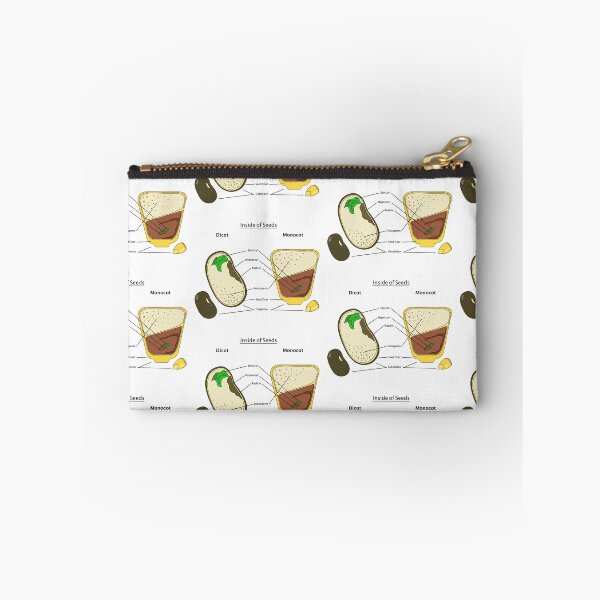 Item preview, Seed Diagram designed and sold by Punchy Academic.