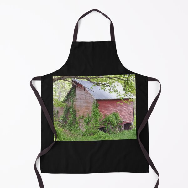 Item preview, Cedar Rapids Barn designed and sold by KirtTisdale.