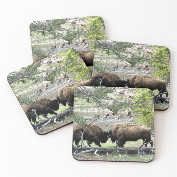 Item preview, Bison Locking Horns in Yelllowstone  designed and sold by Duncan Bullock.
