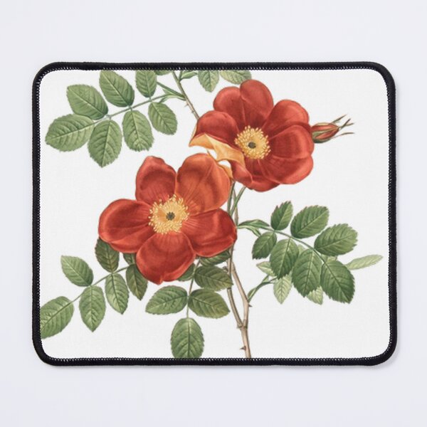 Item preview, beautiful roses designed and sold by RIFALDOO.