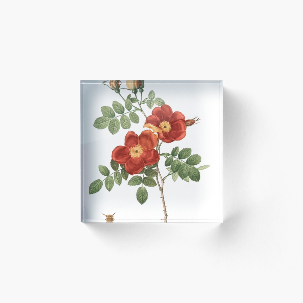 Item preview, Acrylic Block designed and sold by RIFALDOO.