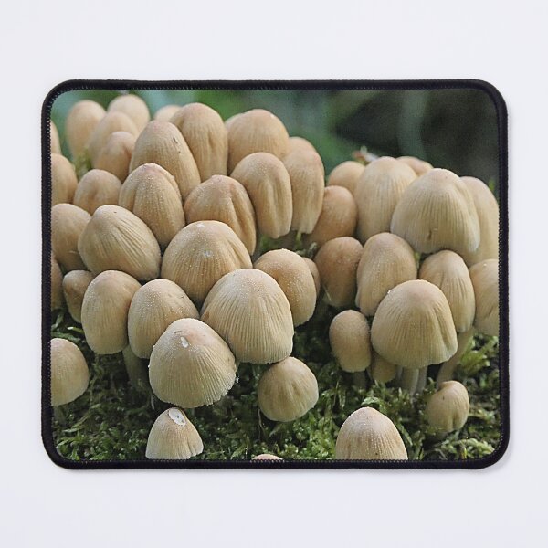 Item preview, Mushroom family in moss designed and sold by Bwananyoka.