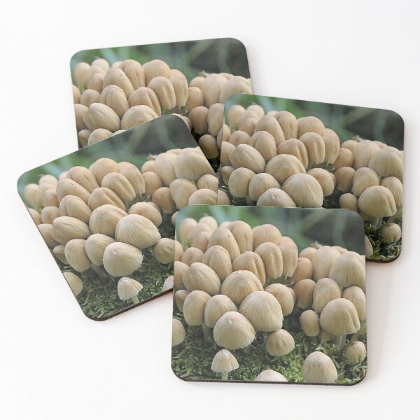 Item preview, Mushroom family in moss designed and sold by Bwananyoka.