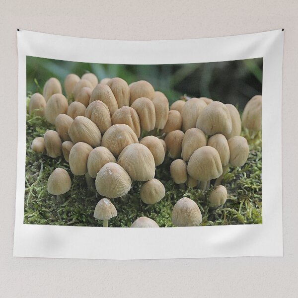 Item preview, Mushroom family in moss designed and sold by Bwananyoka.