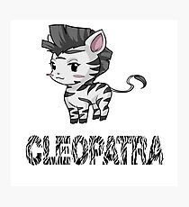 Zebra Cleopatra Photographic Print