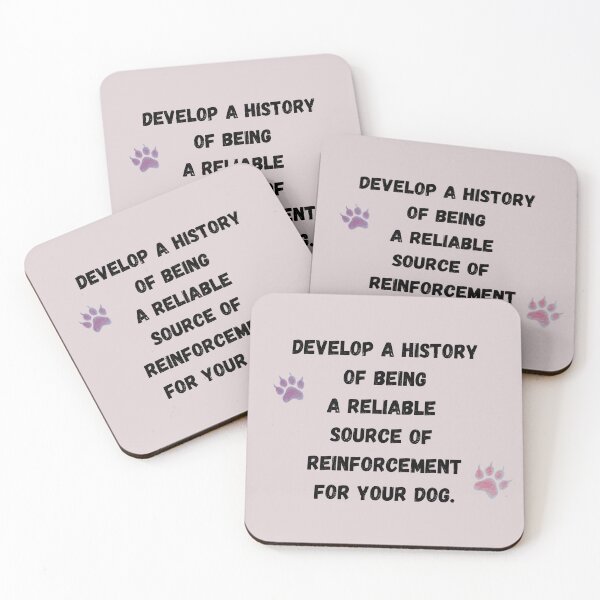 Item preview, History of reinforcement designed and sold by kookycomet.