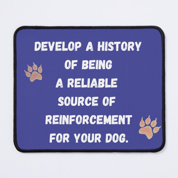 Item preview, History of reinforcement designed and sold by kookycomet.