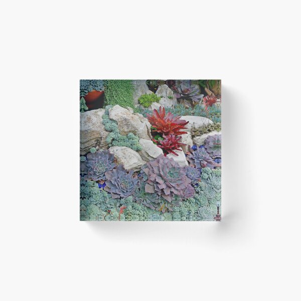 Item preview, Sherman Gardens Study 2  designed and sold by Robert Meyers-Lussier.