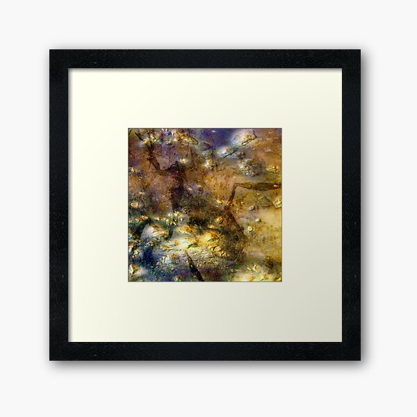 Martian Fossils 3 Framed Art Print