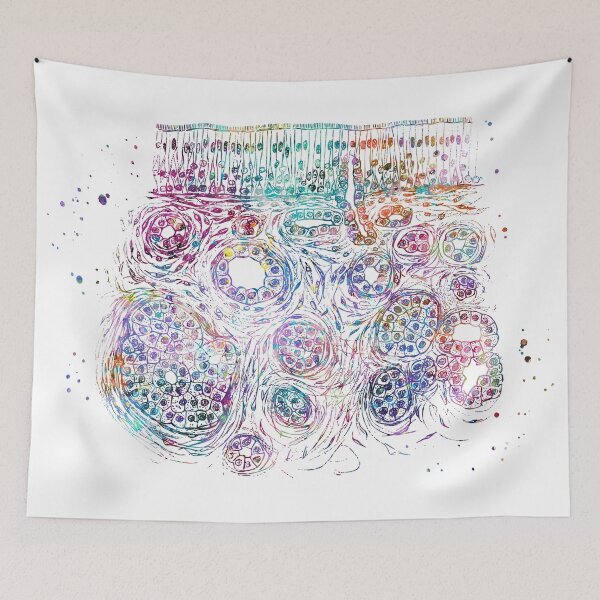 Item preview,  Olfactory Epithelium Anatomy designed and sold by EvasDreams.