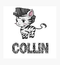 Zebra Collin Photographic Print