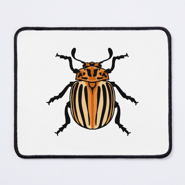 Item preview, False Potato Beetle Illustration designed and sold by Kayleigh Anderson.