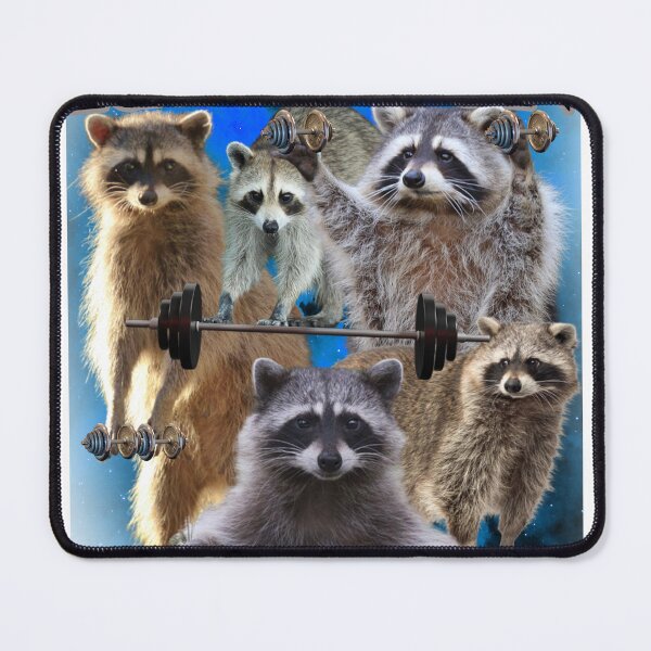 Item preview, Raccoon Fitness Tycoon designed and sold by joshemf.