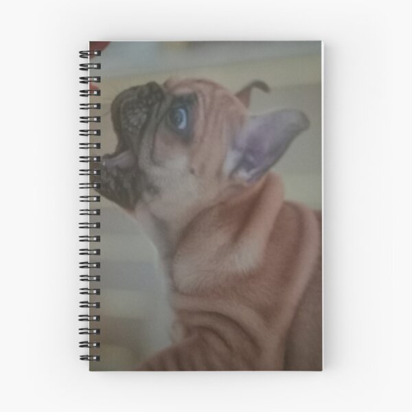Item preview, A beautiful little puppy named Nessa! designed and sold by Sobramesa82.