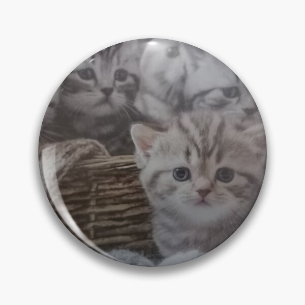 Item preview, Little kittens with balls of wool, beautiful picture. designed and sold by Sobramesa82.