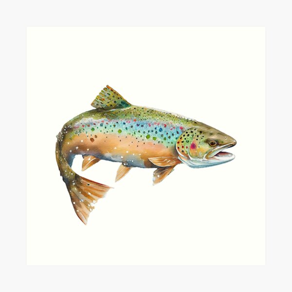 Rainbow Trout Art Print