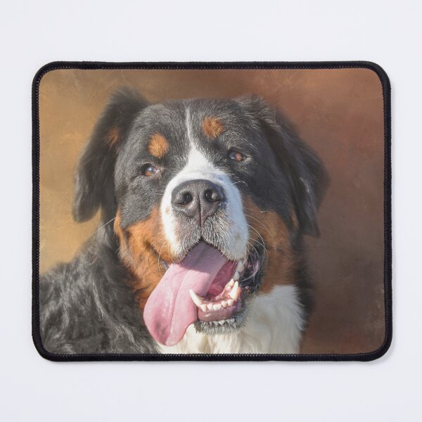 Item preview, Bernese Mountain Dog 01 designed and sold by Elisabeth Lucas.