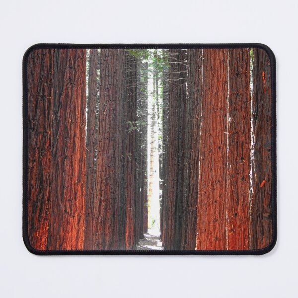 Item preview, Sunlight through the tall Redwoods designed and sold by AussieAl.