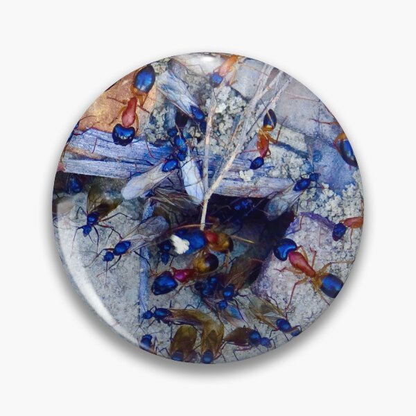 Item preview, Sugar Ants at the entrance of the nest! designed and sold by Mickangelhere.
