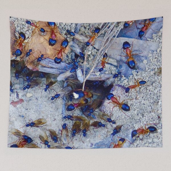 Item preview, Sugar Ants at the entrance of the nest! designed and sold by Mickangelhere.