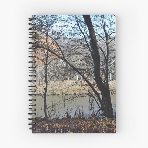 Item preview, November Lake Shore designed and sold by Kathleen Brant.