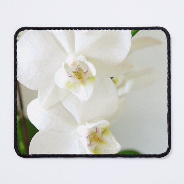 Item preview, Gorgeous white orchids designed and sold by jaynerushton.