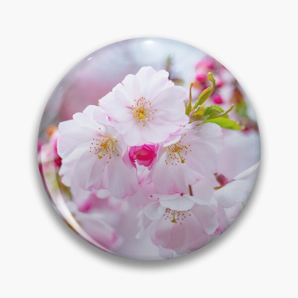 Item preview, Pink Japanese Cherry Trees in Bloom designed and sold by Leslie Banks.
