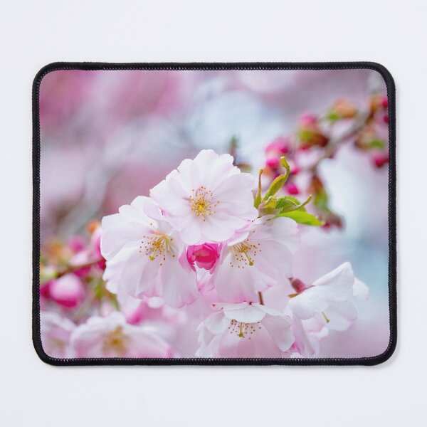 Item preview, Pink Japanese Cherry Trees in Bloom designed and sold by Leslie Banks.