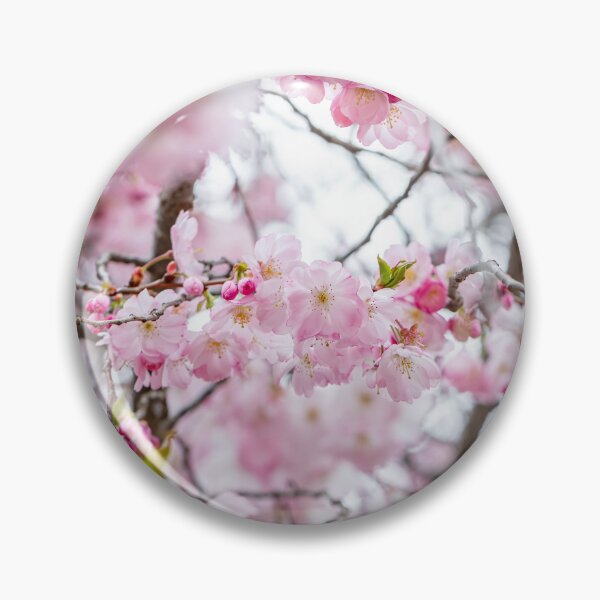 Item preview, Pink Japanese Cherry Trees in Bloom designed and sold by Leslie Banks.
