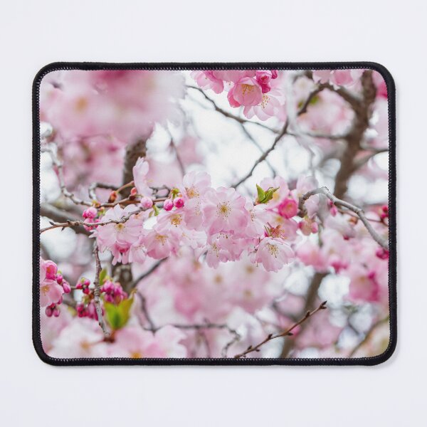 Item preview, Pink Japanese Cherry Trees in Bloom designed and sold by Leslie Banks.