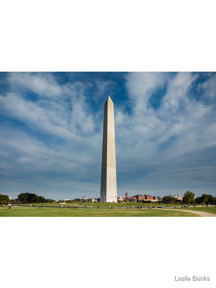 Washington National Mall Skyline and a Spectacular Sky Kids T