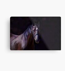 Dark Horse Metal Print