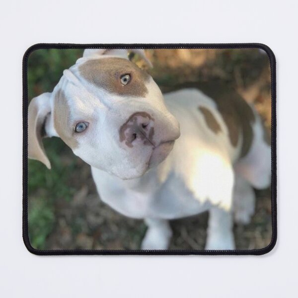 Item preview, The Profile Pic designed and sold by Pittie Dog Club.