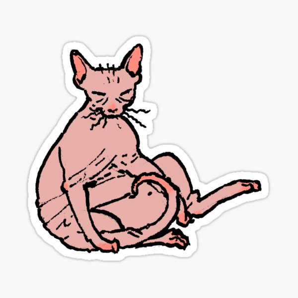 Angry Gray Sphynx Cat Meme Grumpy Sticker · Creative Fabrica