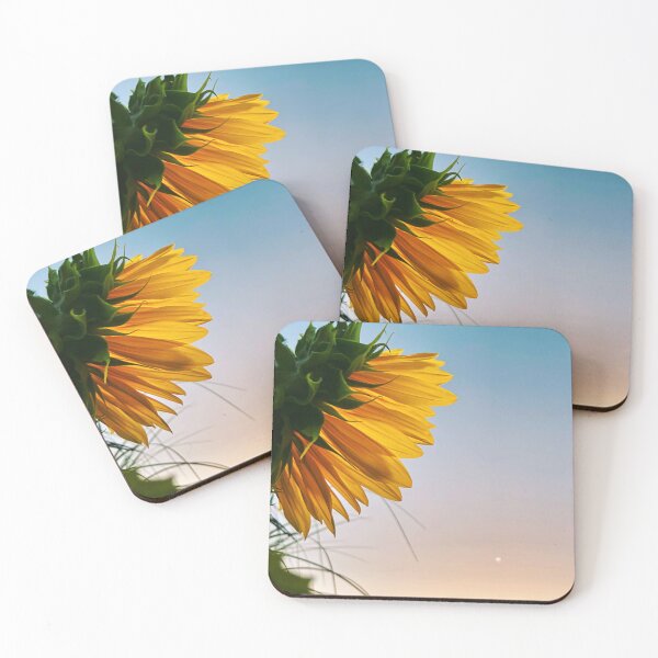 Item preview, Sunflower and Moon - photograph by Margo Humphries designed and sold by Margo Humphries.