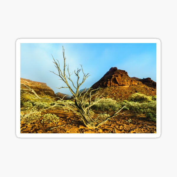 Sunrise at the Kennedy Range National Park Sticker