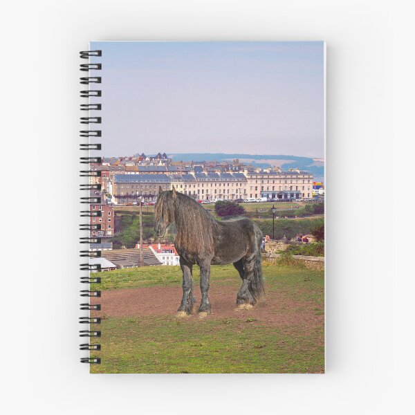 Item preview, Whitby designed and sold by Alisonchambers2.