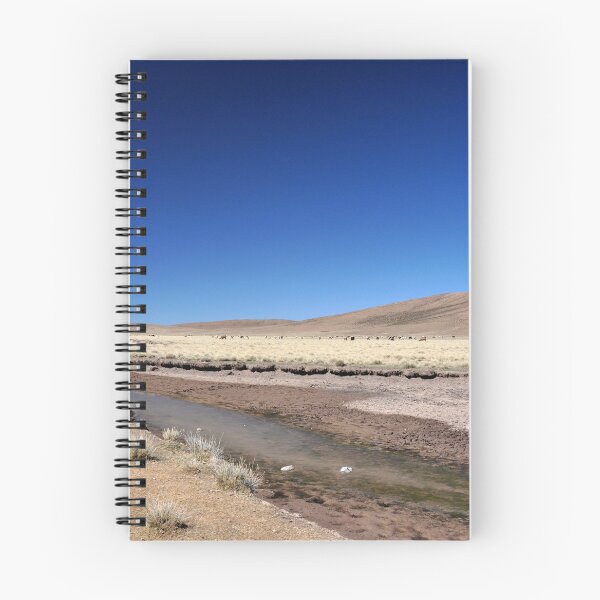 Item preview, Bolivia - Salar de Uyuni designed and sold by franck380.
