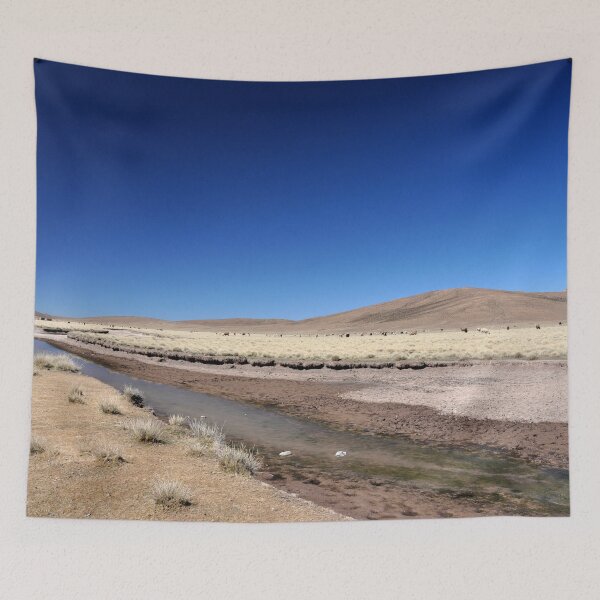Item preview, Bolivia - Salar de Uyuni designed and sold by franck380.