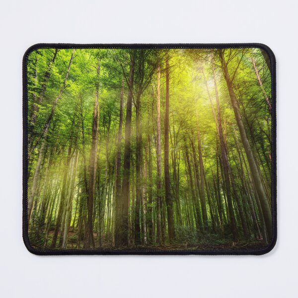 Item preview, Jungle many trees illustrator designed and sold by HUYJIEA.