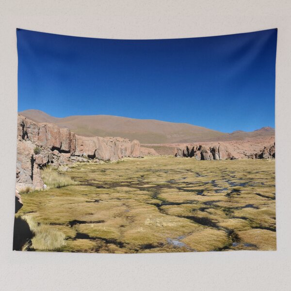 Item preview, Bolivie - Salar d'Uyuni  designed and sold by franck380.