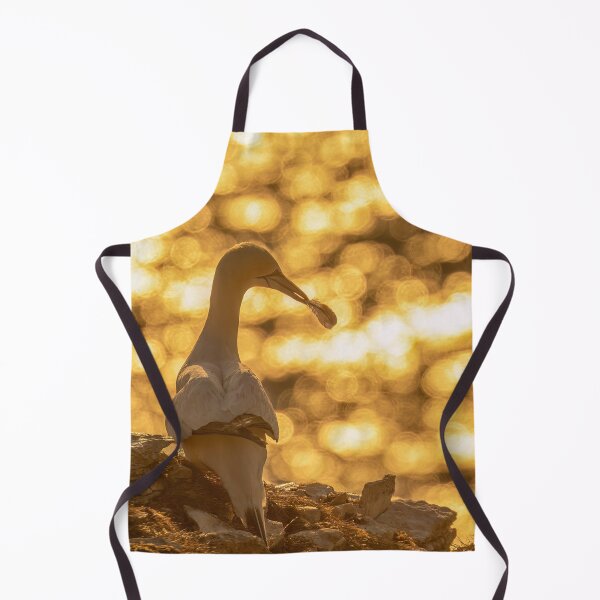 Item preview, Golden gannet designed and sold by AliMarleyPhoto.
