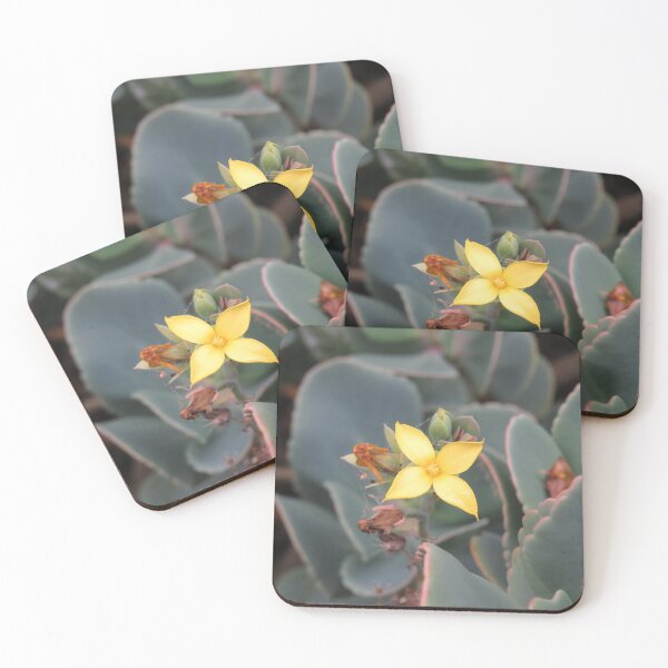 Item preview, Yellow kalanchoe flower designed and sold by greentiger1.