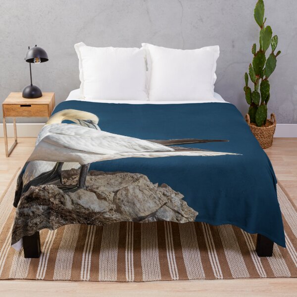 Item preview, Northern Gannet designed and sold by AliMarleyPhoto.