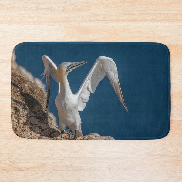 Item preview, Northern Gannet designed and sold by AliMarleyPhoto.
