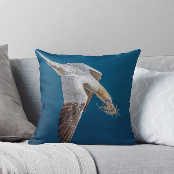 Item preview, Northern Gannet designed and sold by AliMarleyPhoto.
